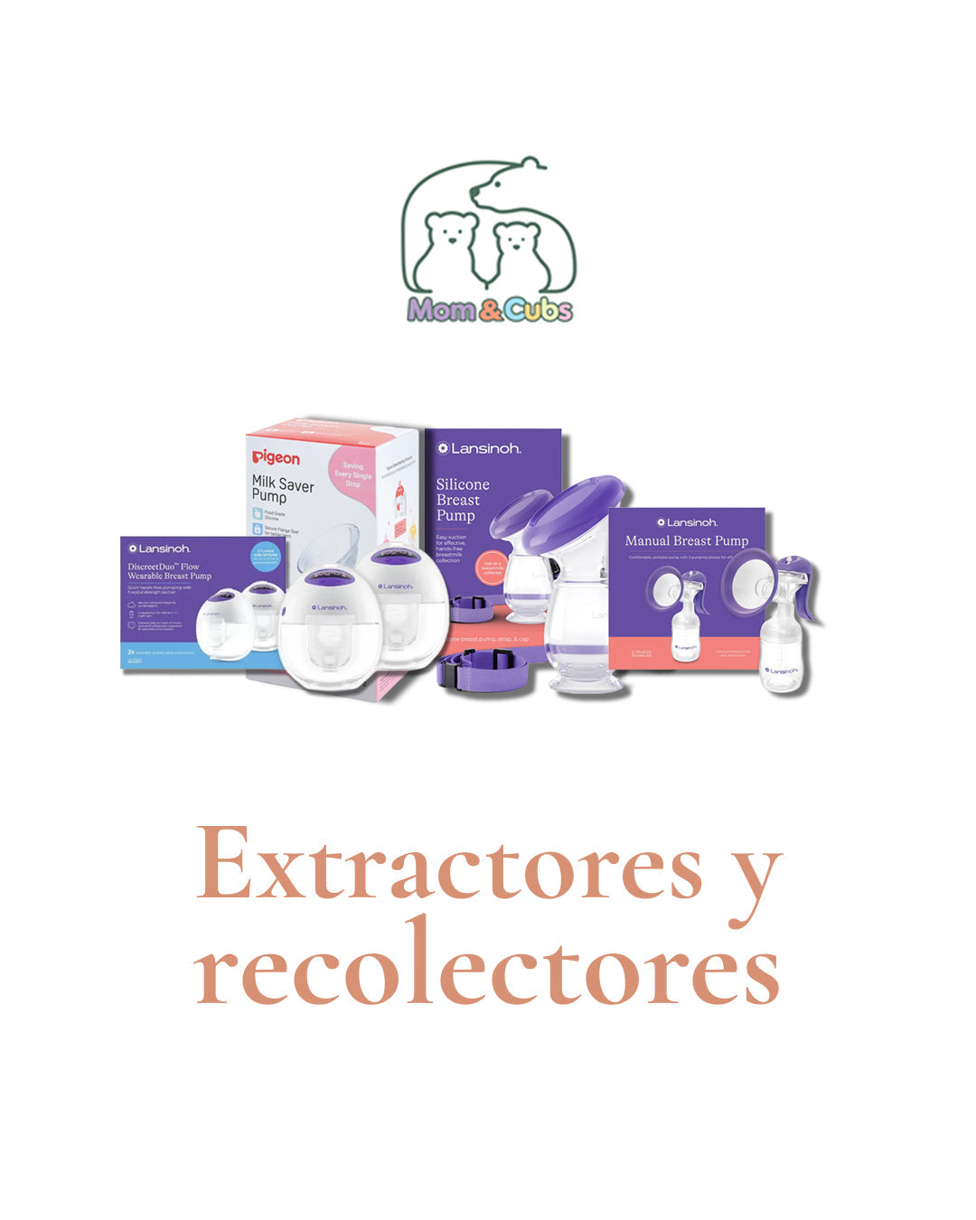Extractores y recolectores