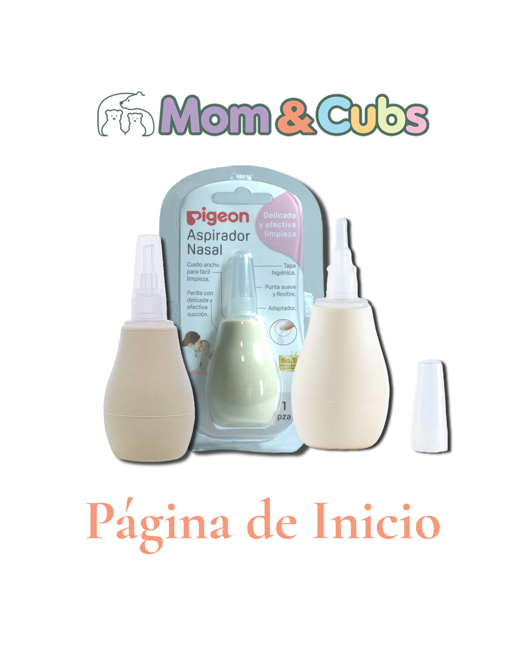 Página de inicio