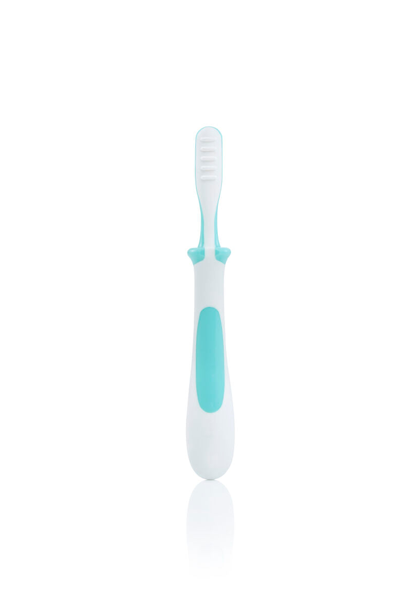 Pigeon Cepillo dental lección 3 (12–18 meses)